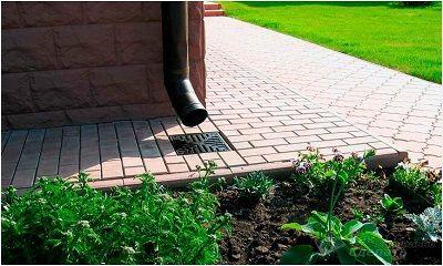 Точечный.jpg?lang=ru